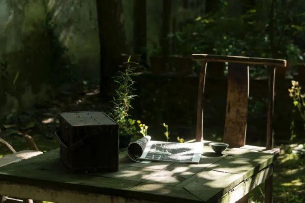 愿有一方院子，闲数光阴